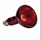 Лампа  ИКЗК (красная) 215-225 250Вт